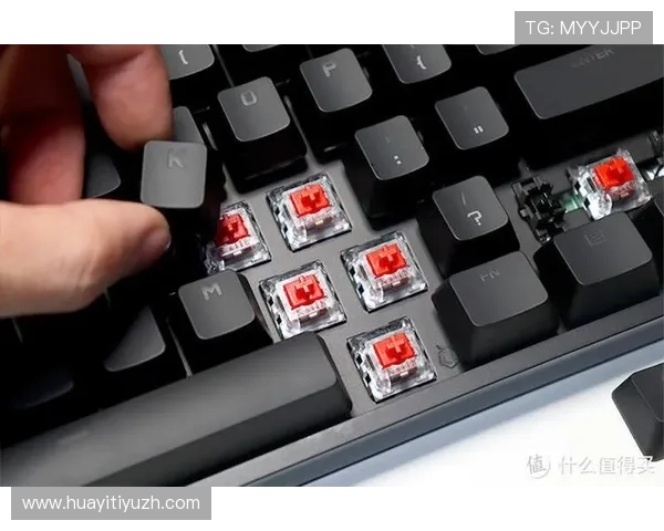 专业玩家分享333体育滚球盘实战经验与技巧提升整体竞技水平