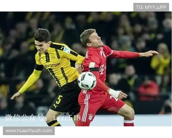 豪门体育带你走进豪门体育的幕后团队与管理层的运营智慧